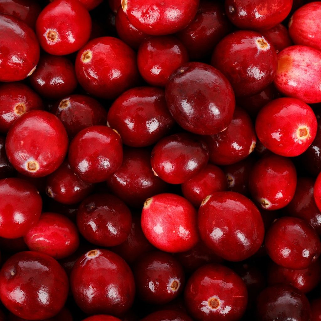 cranberry-seed