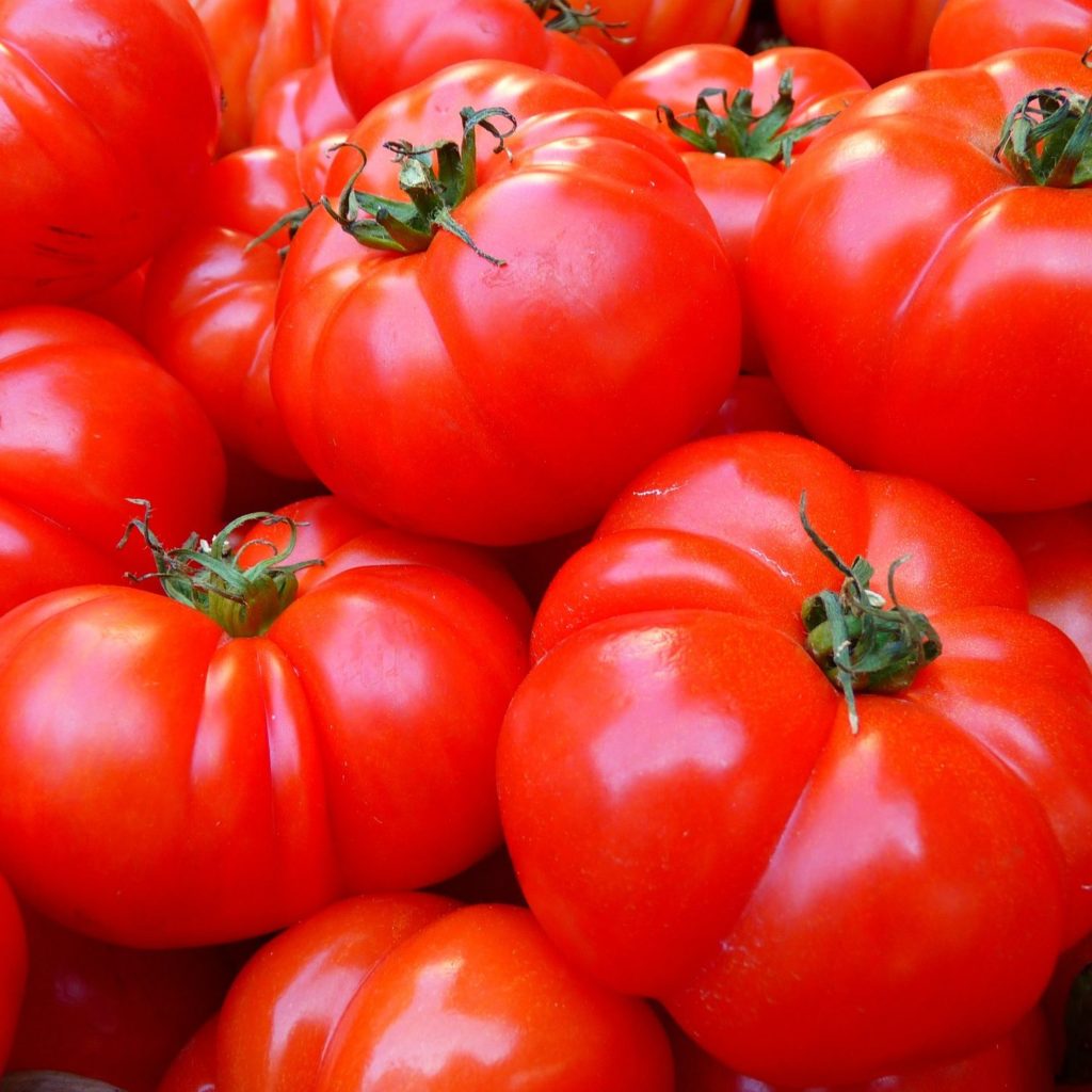 Tomato Pomace